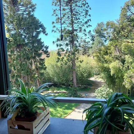 Apartamento The Botanist *